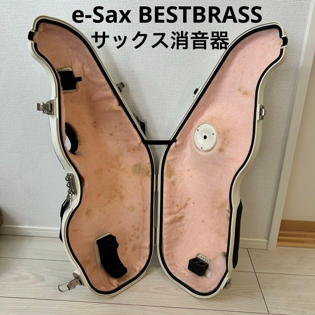 動作◯【消音器】e-sax アルトサックス　BESTBRASS ゼンオン
