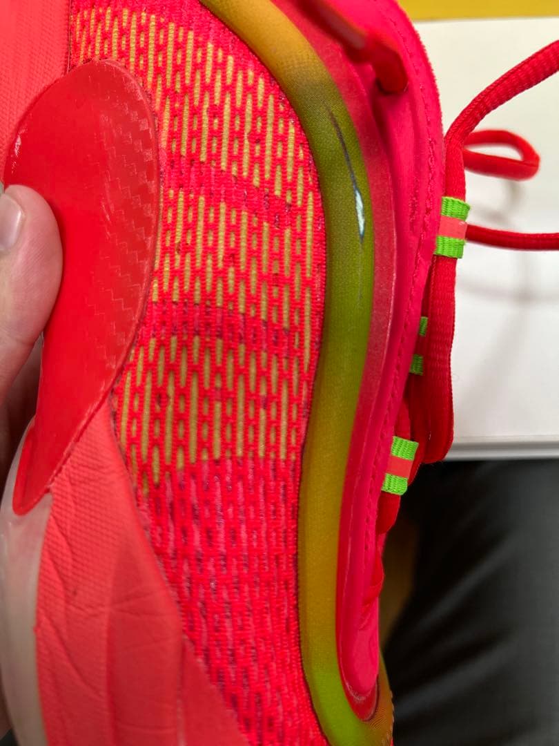 DON ISSUE 6 ハリボー