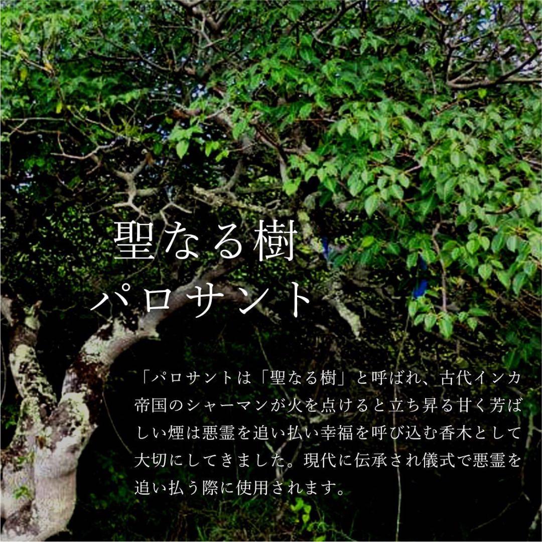 Wt★限定特選品★希少レア激安☆聖なる樹【神秘的な香り♢バロサントウッド香】❤️