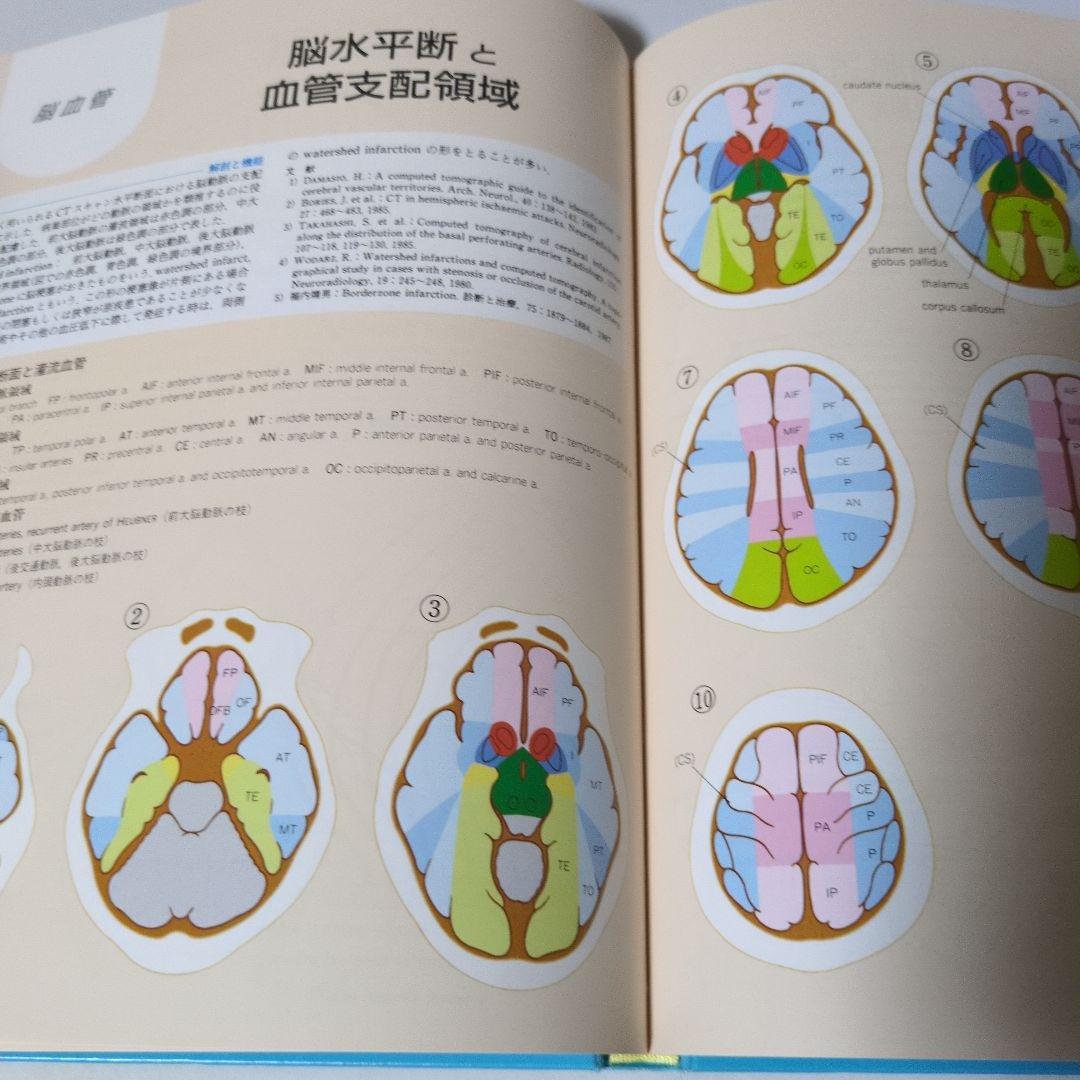 ＠Takuya様　臨床のための神経機能解剖学