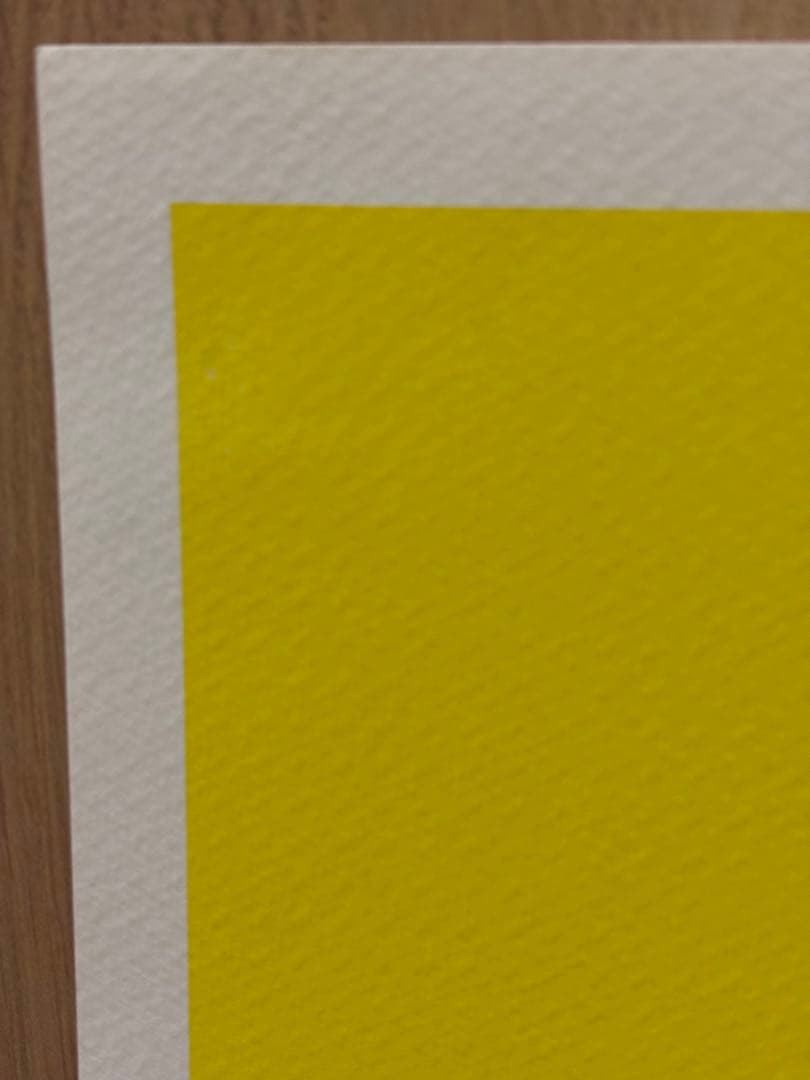 DEATH NYC シルクスクリーン　オードリー　ヘプバーン ヴィトンコラボ