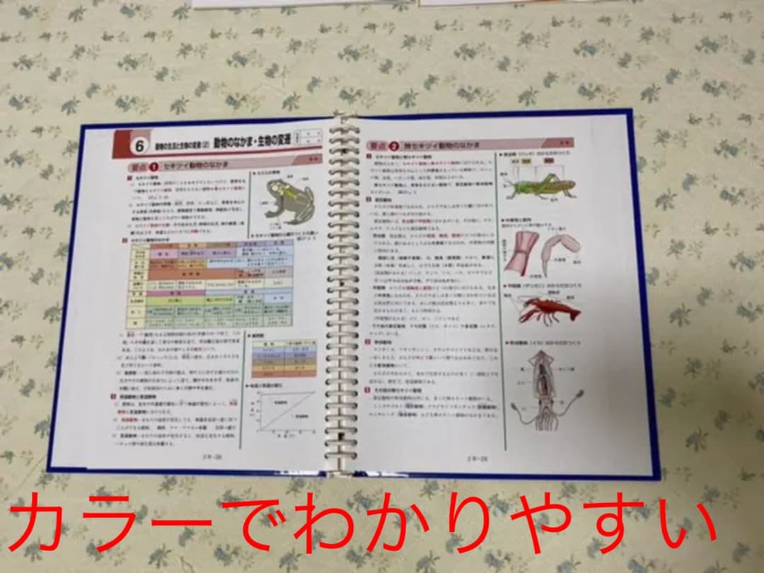 文部科学省指導要領準拠
