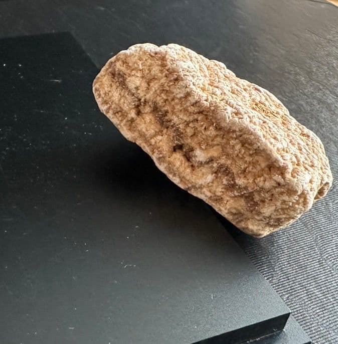 ★秋田発『北投石』９３グラム 100%本物!! 秋田玉川温泉産✨