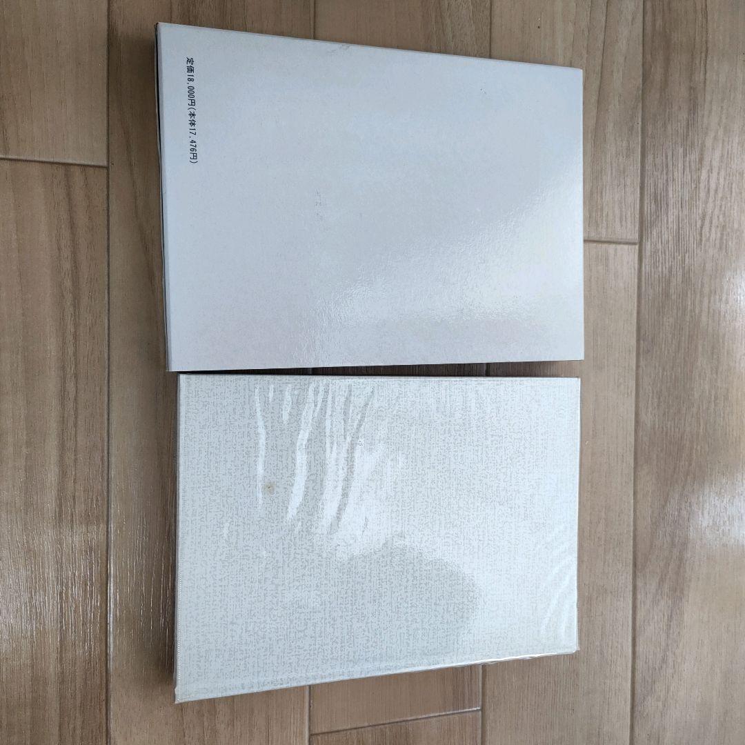 【美品】漢方治療原論　入江FTによる診断と治療 ハードカバー