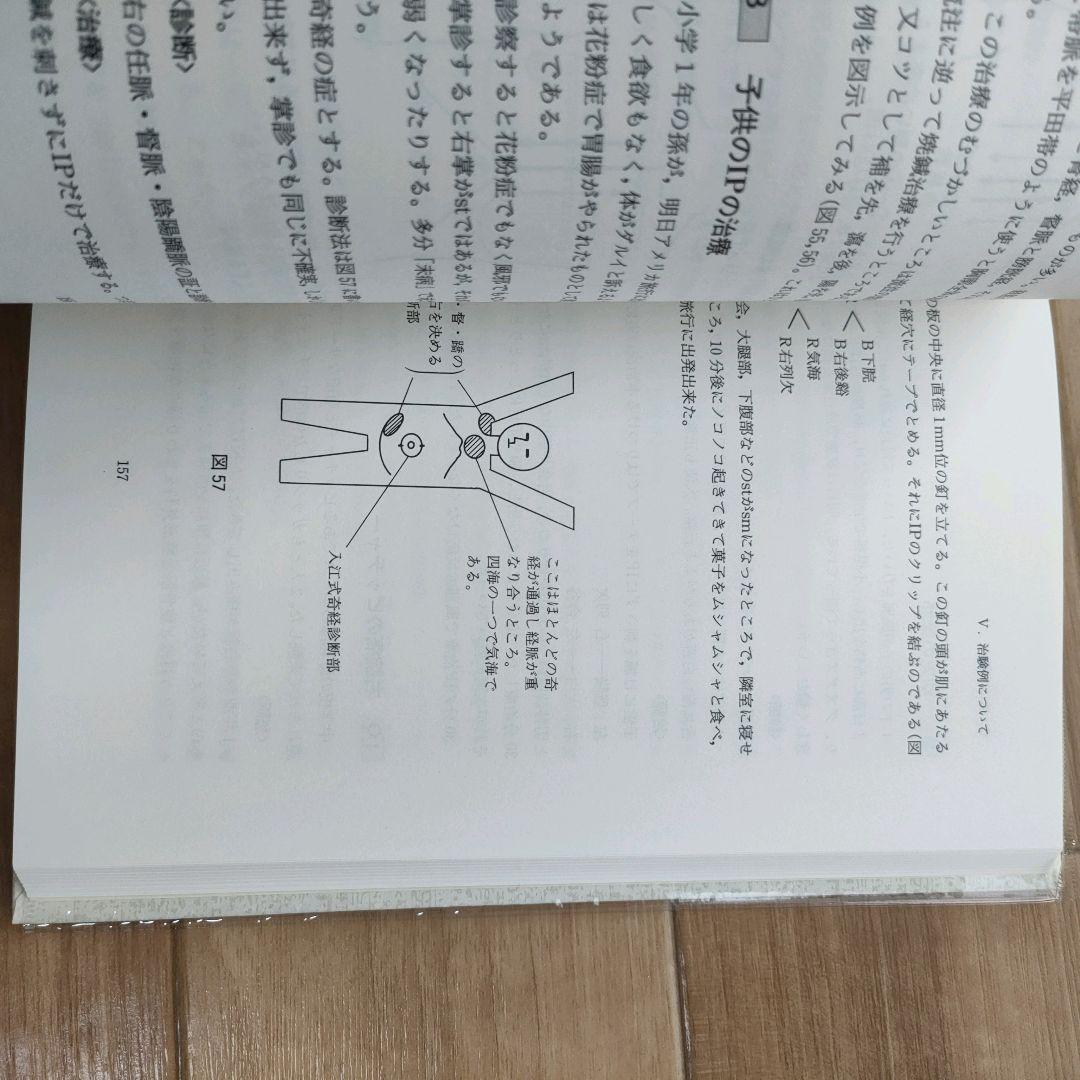 【美品】漢方治療原論　入江FTによる診断と治療 ハードカバー
