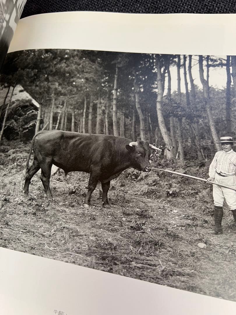 1999年よみがえる日本の近代 石塚三郎旧蔵 明治・大正ガラス乾板写真　趣味雑誌