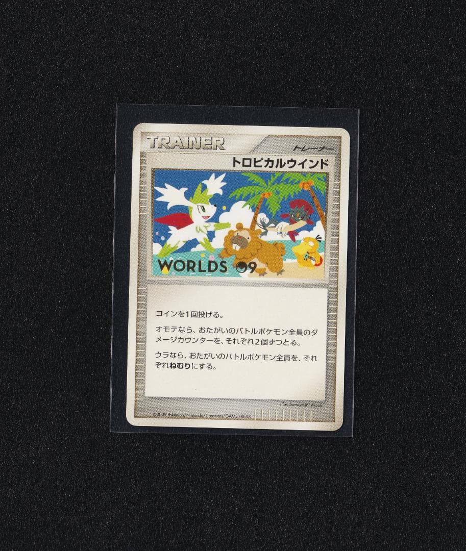 トロピカルウインド '09 日本語版