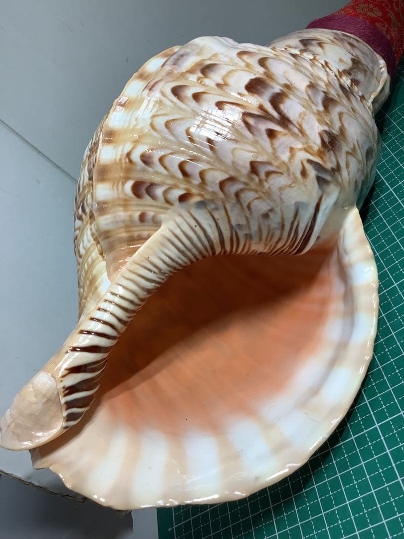 ヤフメリ9・法螺貝・山伏・修験者・羽黒山・金峯山・戦国武将・縁起物・魔除・熊除笛