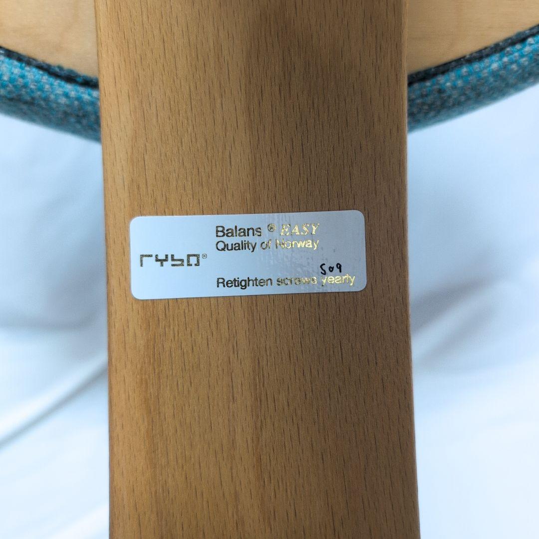 rybo バランスチェア　イージー　姿勢矯正クッションチェア