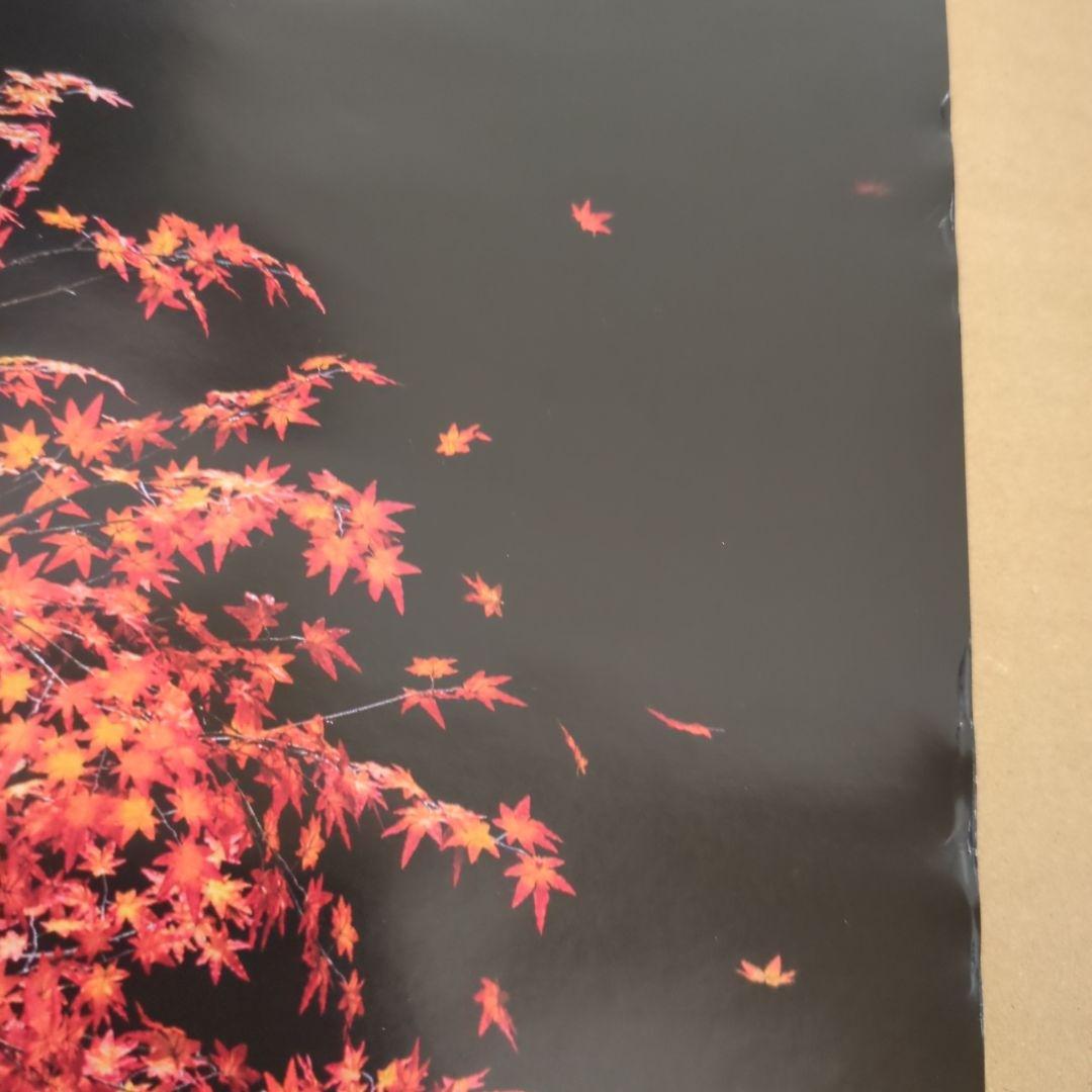 Aimer ポスター ■茜さす サイン入ポスター■ ★未使用に近い★