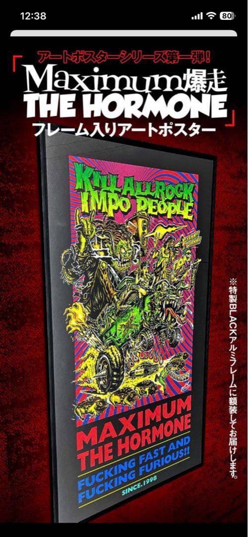 マキシマム ザ ホルモン 額付ポスターとタペストリー