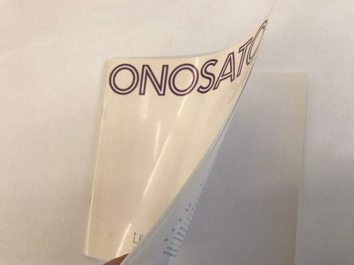 ★オノサト・トシノブ油彩展図録 ONOSATO