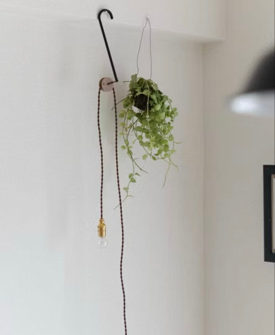 【新品未使用】eNproduct ハンガーライト hanger light