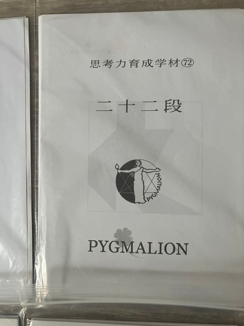 【希少・袋入】ピグマリオン 思考力育成教材 17点セット 二十一段〜三十二段