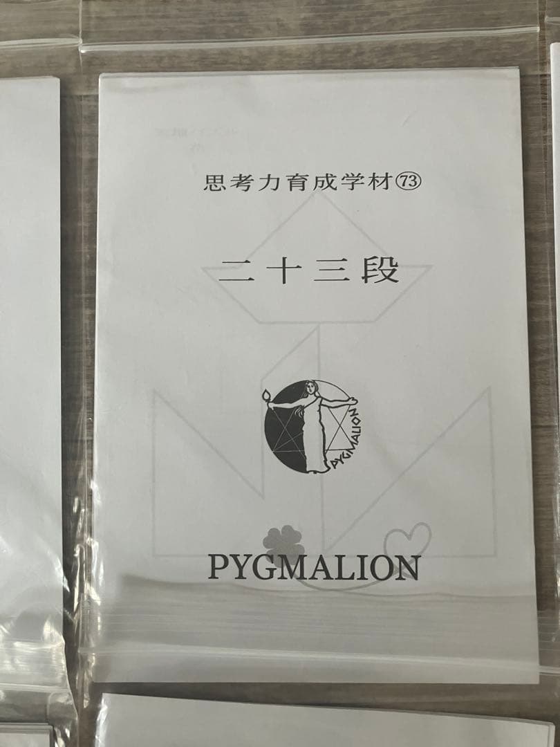 【希少・袋入】ピグマリオン 思考力育成教材 17点セット 二十一段〜三十二段