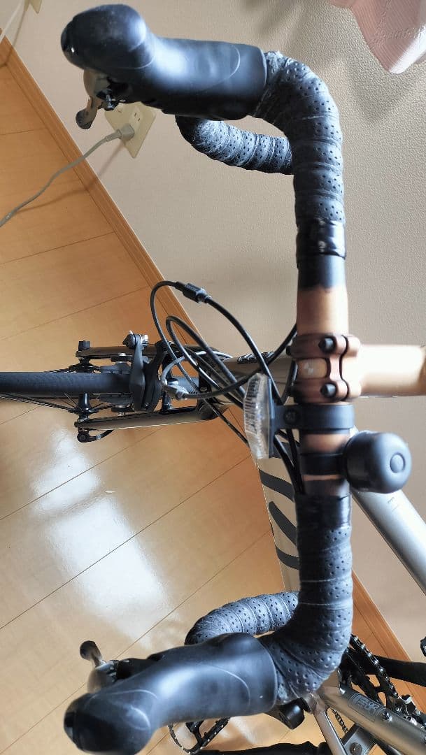 ミニベロ 全国発送 tern SURGE 2021 STONE_SILVER