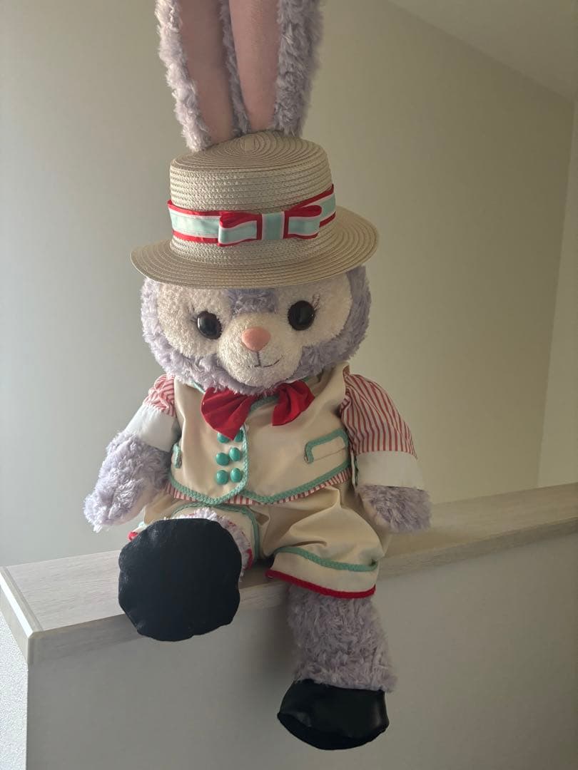 ディズニー　ステラルー　ぬいぐるみ　M コスチューム　Mサイズ