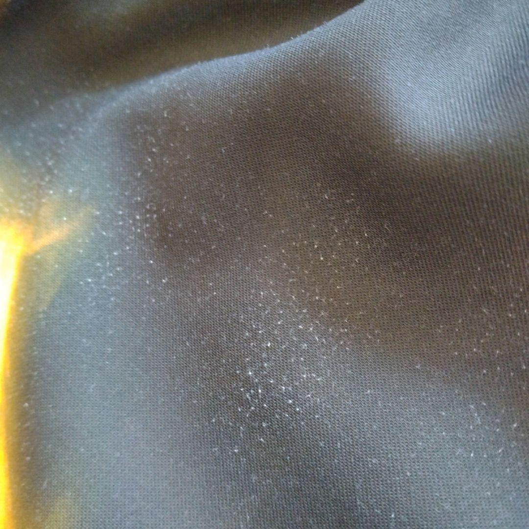 ラディカルフィットネス FESTA2024 ドラゴンウェア