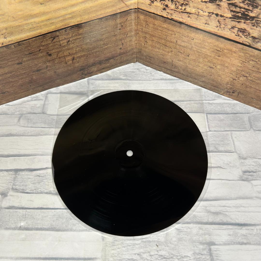 直筆サイン入り THE NONFICTION 廃盤レコード「IMITATION」