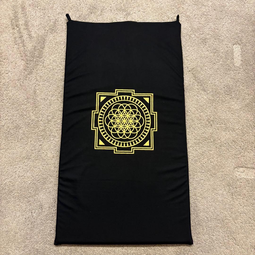 【極美品】正規品Shakti マット&ピロー　ブラック　シャクティ レベル2