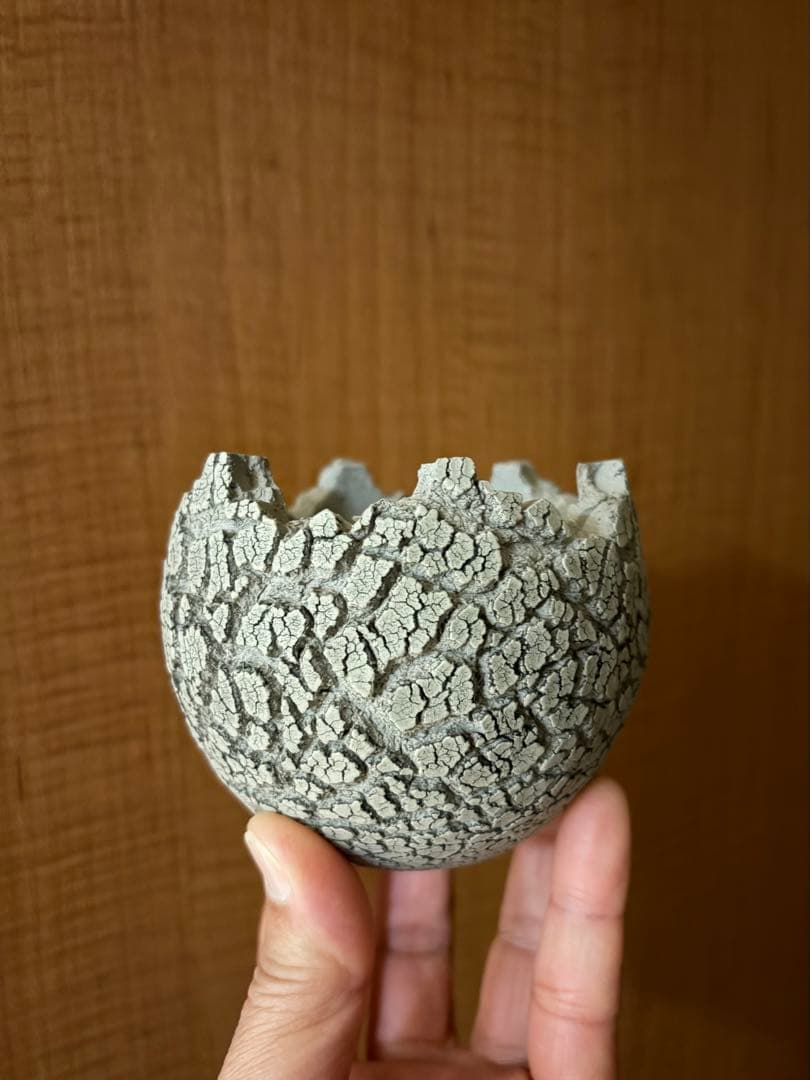 konect ＊fang (コネクト ファング) 鉢