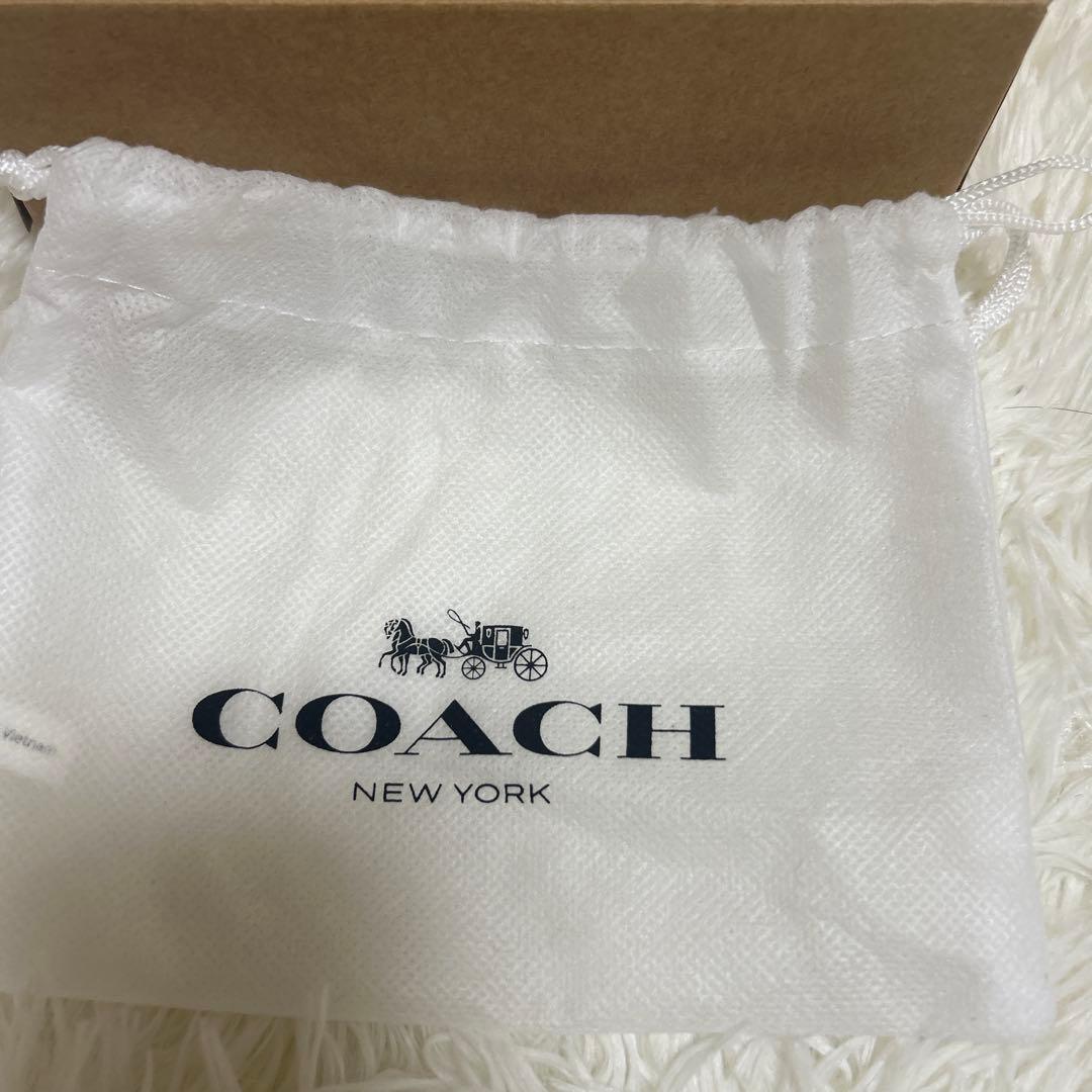 未使用級 コーチ ミニ バッグチャーム 小物入れ ローアン　ストロベリー