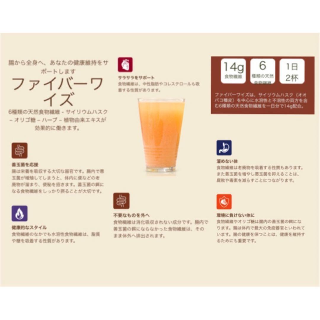 【新品】メラルーカ ファイバーワイズ 糖類無添加 ベリー フレーバー〔2個〕