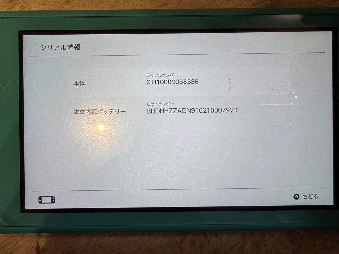 Switch lite ターコイズ 本体のみ