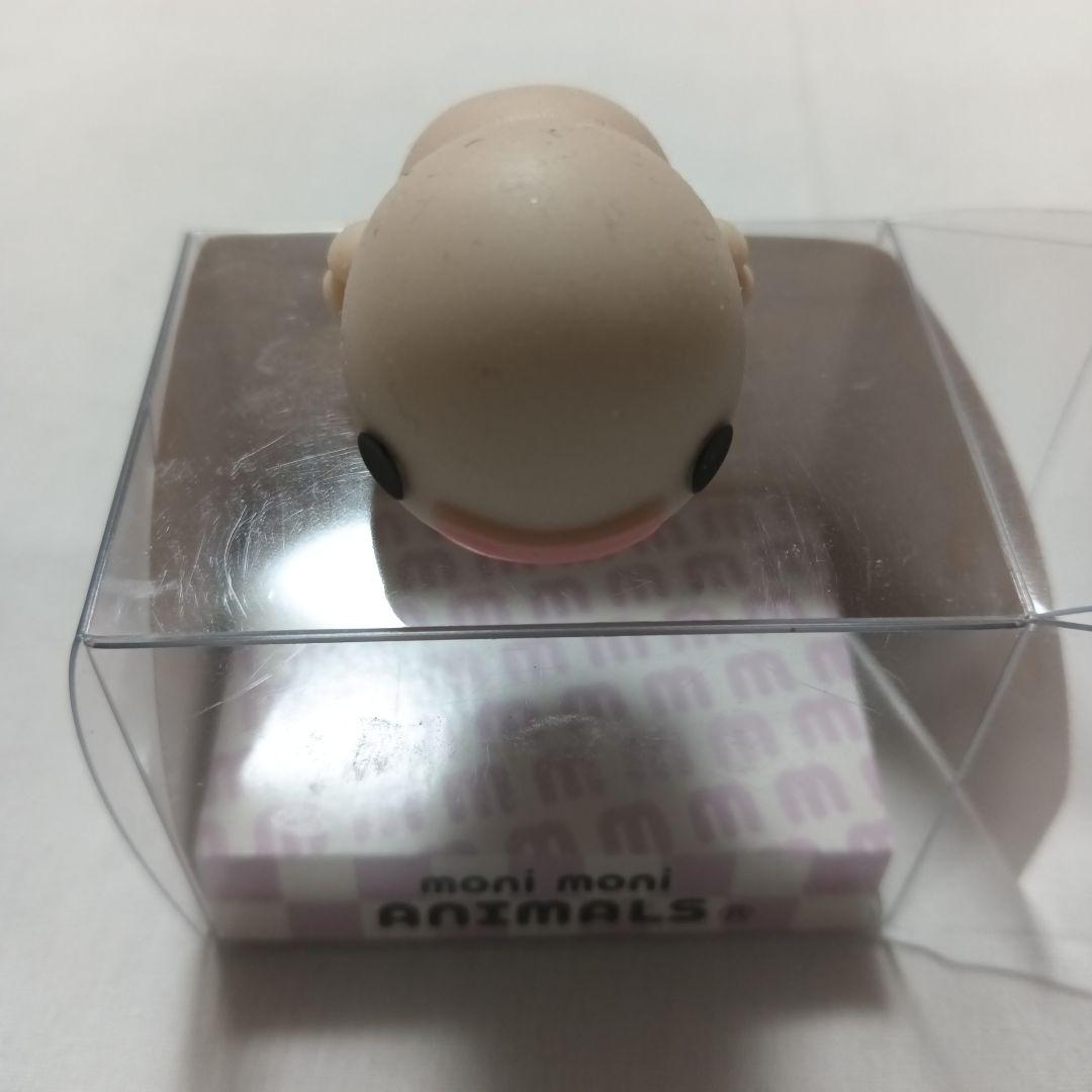 moni moni ANIMALS サラマンダー