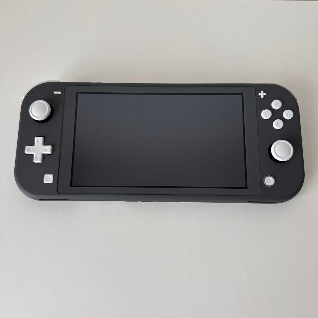 【極美品】Nintendo Switch Lite本体 グレー + ケース付