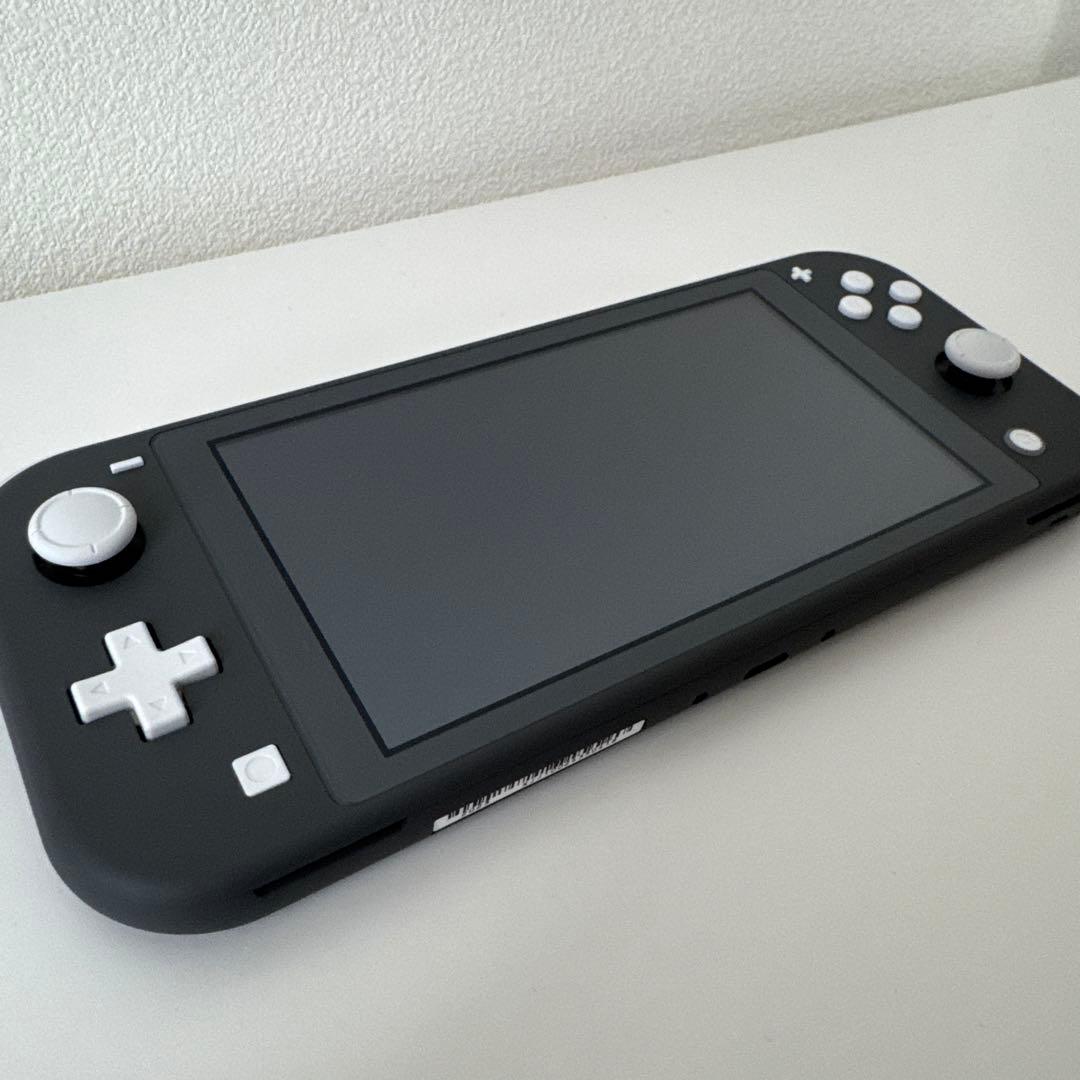 【極美品】Nintendo Switch Lite本体 グレー + ケース付