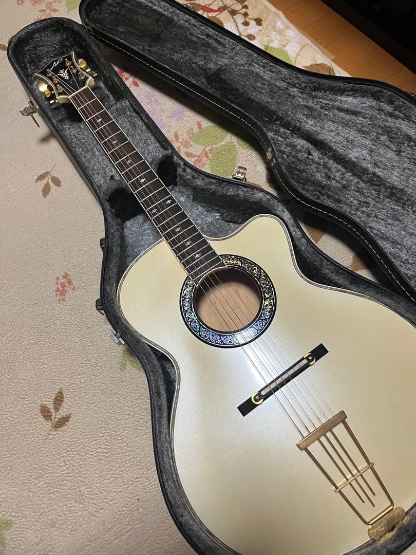 ギター ARIA CUSTOM SHOP AET-120