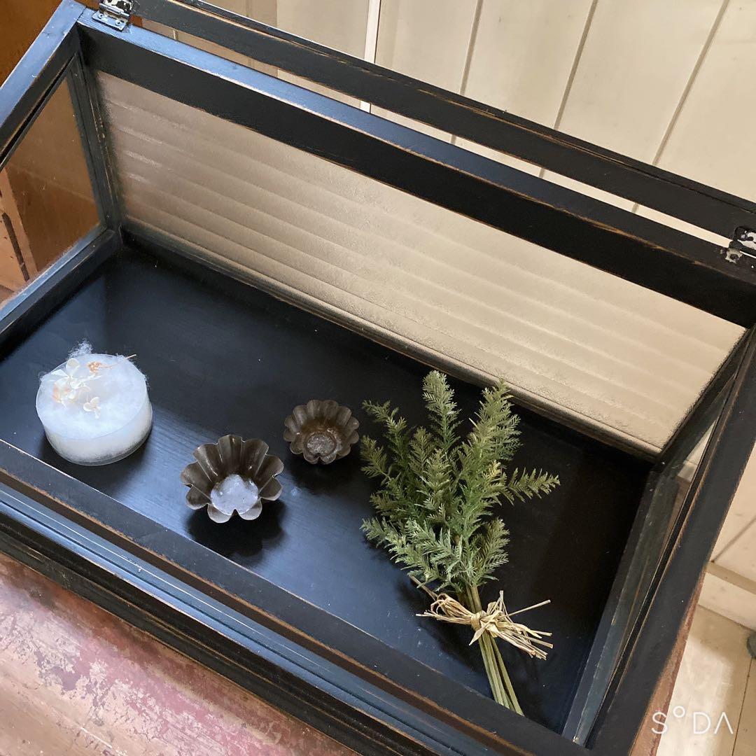 フランスアンティークガラスケース　アクセサリーケース　ディスプレイケース