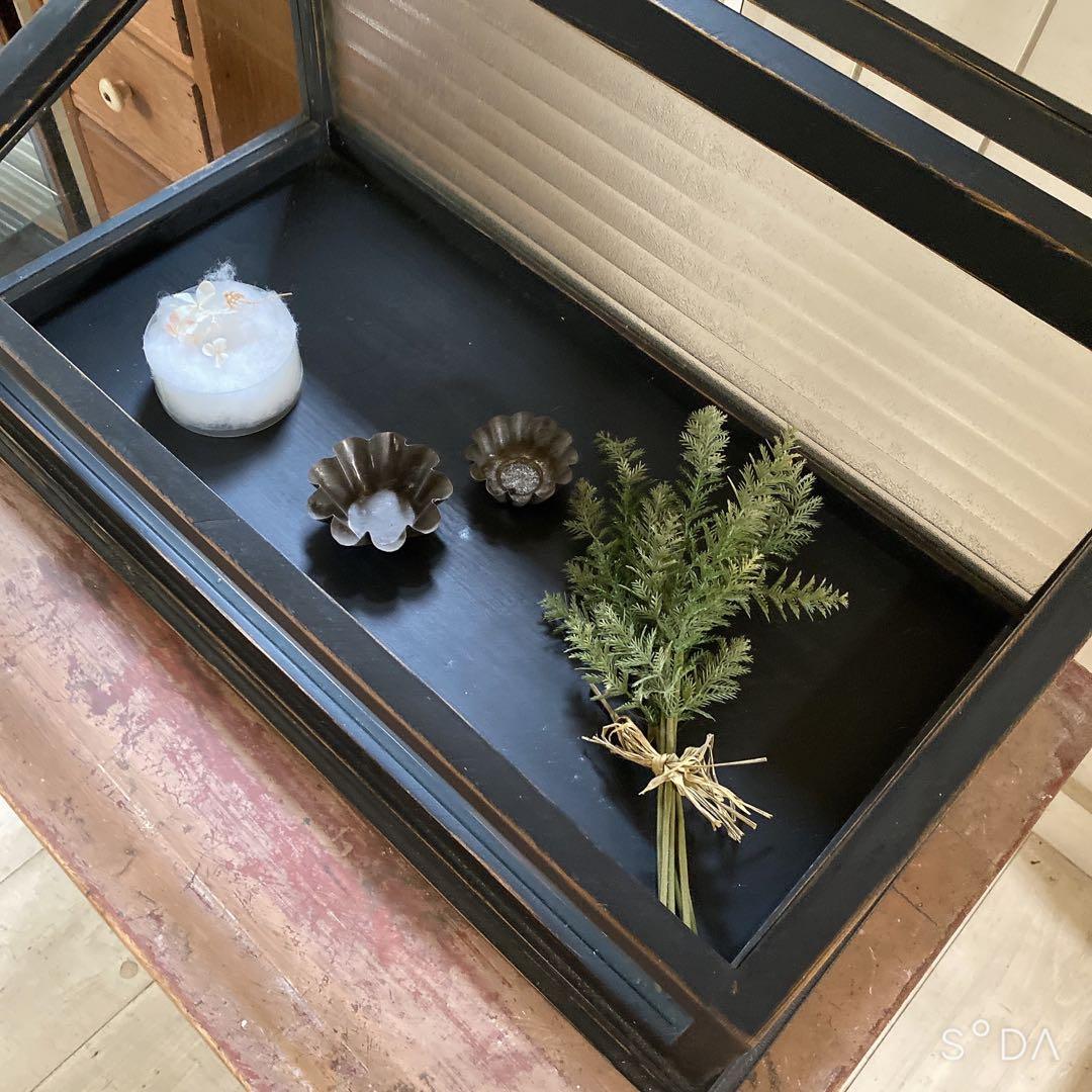 フランスアンティークガラスケース　アクセサリーケース　ディスプレイケース