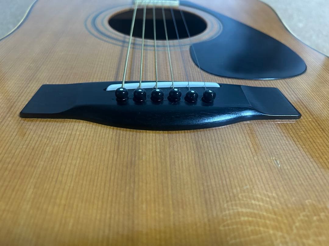 【ジャパンビンテージ】Yamaha L-5前期　純正ハードケース付き