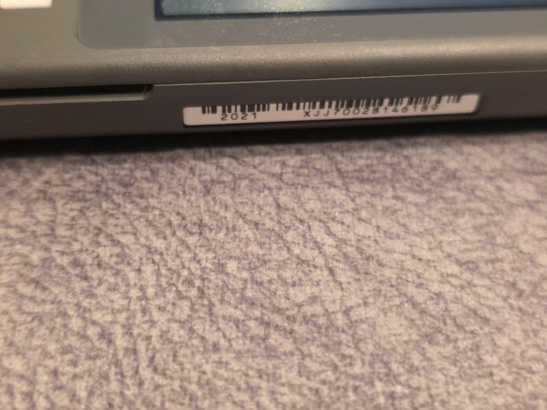 Switchライト グレー 2021