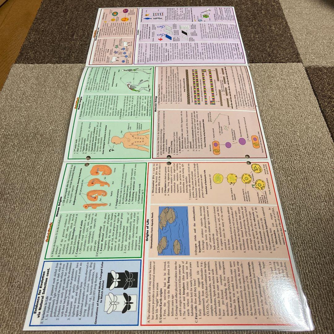 BIOLOGY２Quick Study ACADEMIC 生物学２