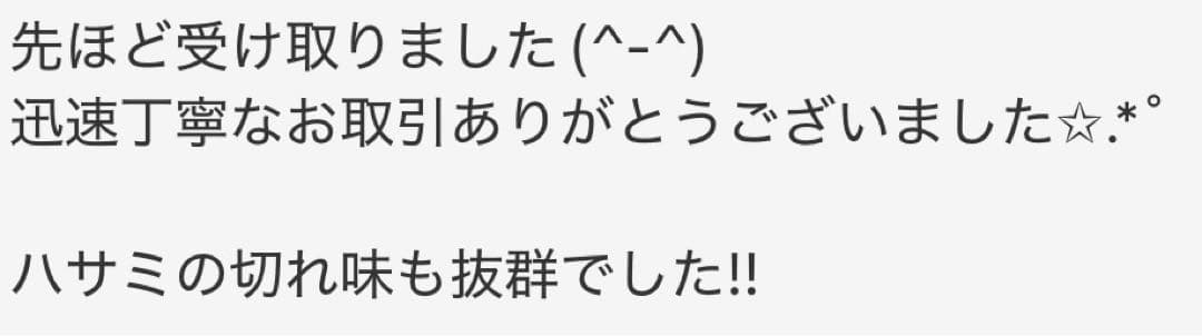 プロ用カットシザー切れ味抜群ハサミ理美容師＋トリミングトリマーペットも可◎