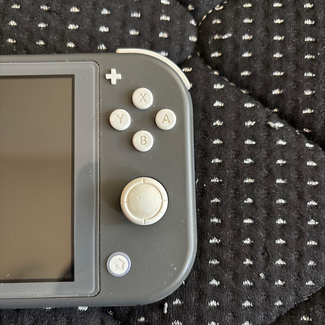 Nintendo Switch ライト　　グレー ケース付き