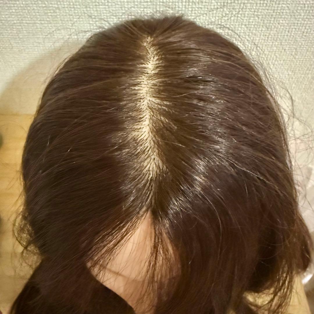 写真追加しました⭐︎N.B.A.A アップウィッグ ブラウン