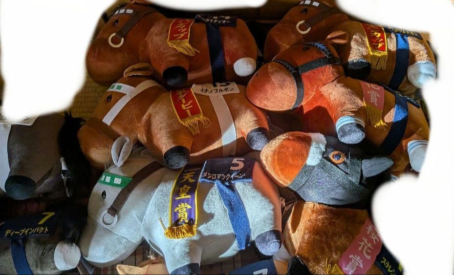 サラブレッドコレクション BIG