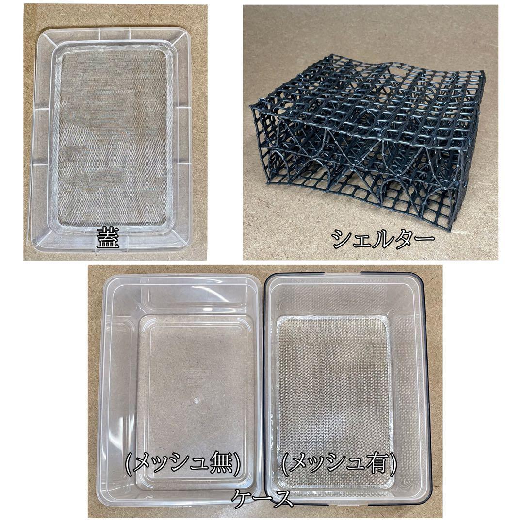 いふ様　S(フル)