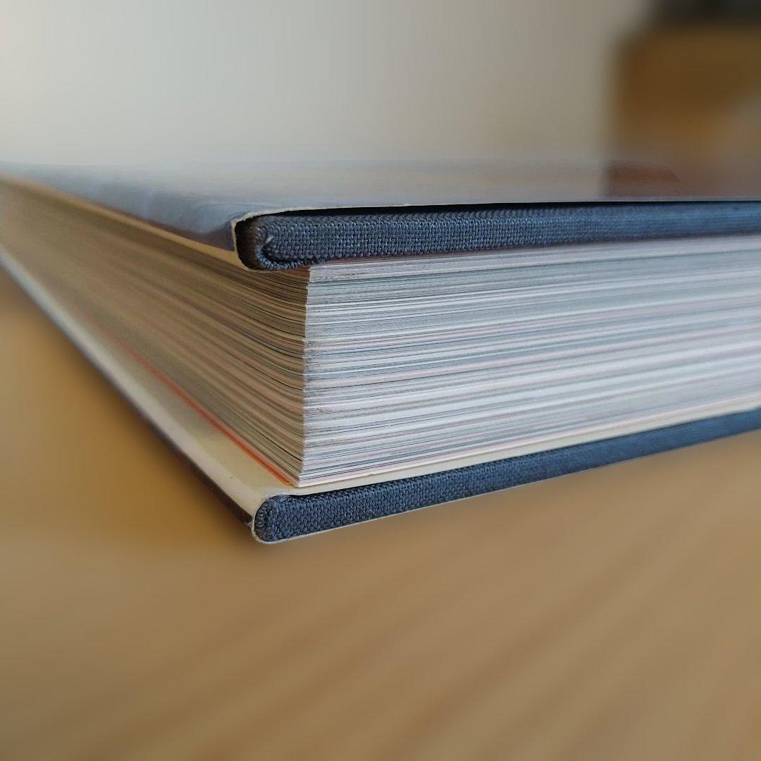 洋書 Frank Lloyd Wright. Les chefs-d'oeuvre