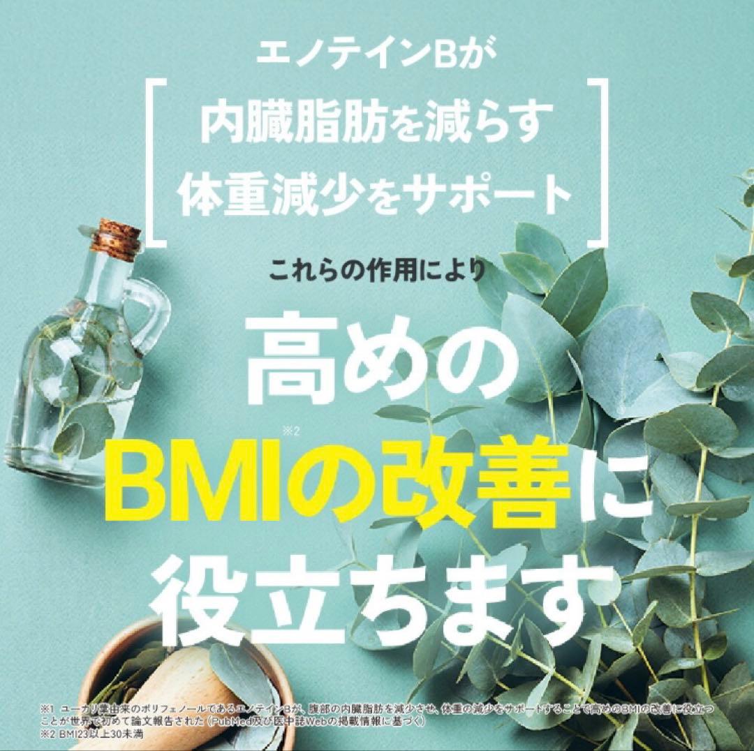 Regain スリムマネージ 90粒／３袋…３ヶ月分