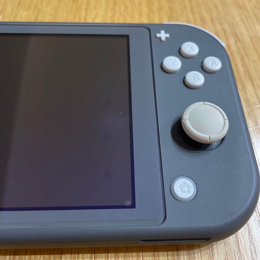 Nintendo Switch Lite グレー本体　動作確認済み　ケース付