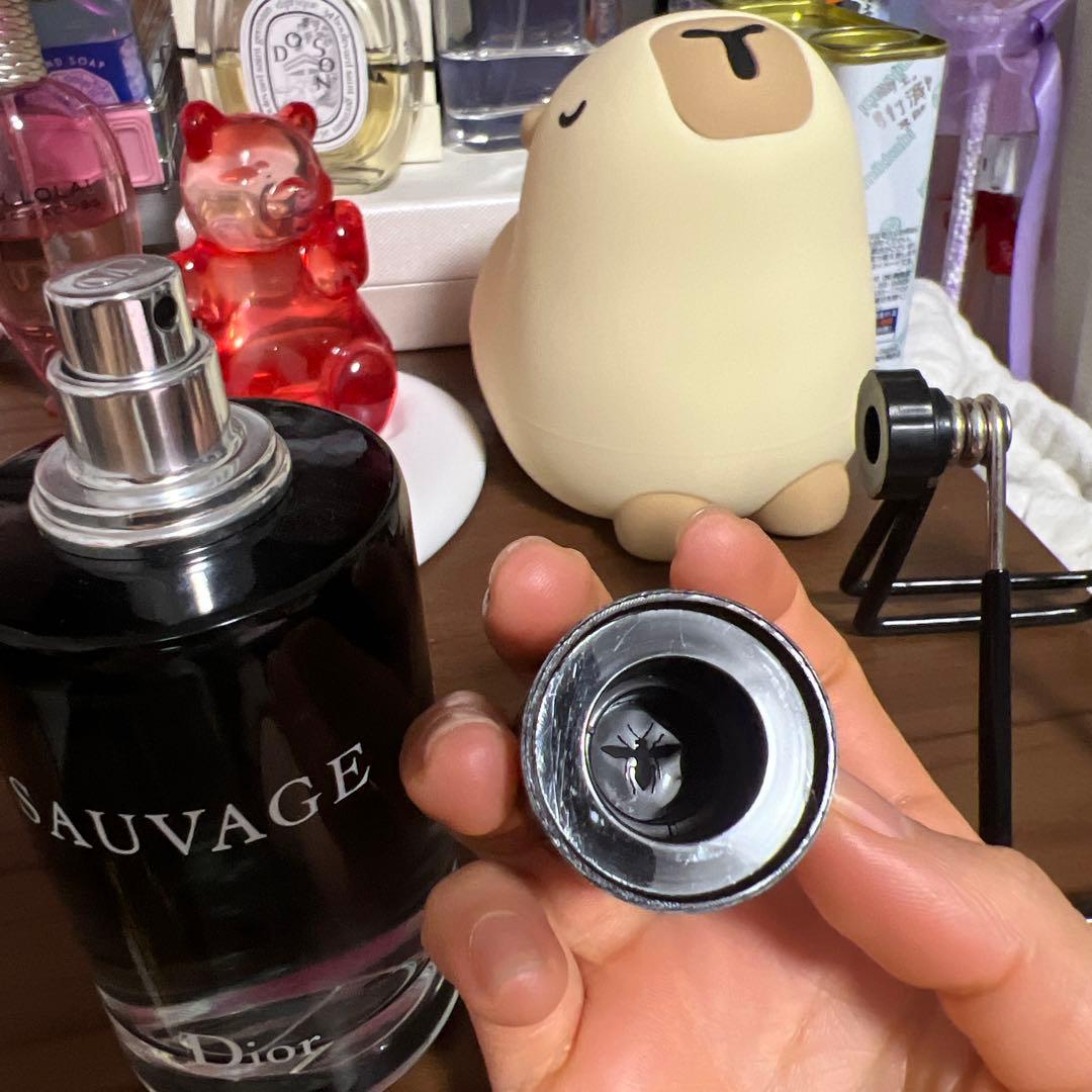 Dior SAUVAGE ET100ml ソヴァージュ ET 100ml