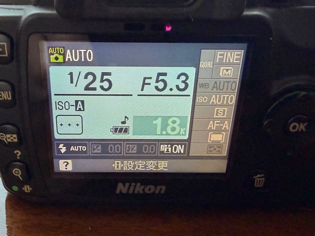 Nikon D60 訳あり　レンズ2本