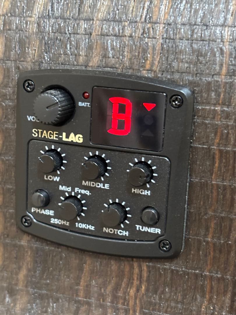 ギター LAG sauvage-ace