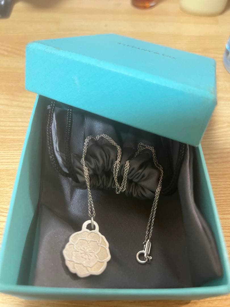 ティファニー GO Women 2024 ネックレス Ag 925