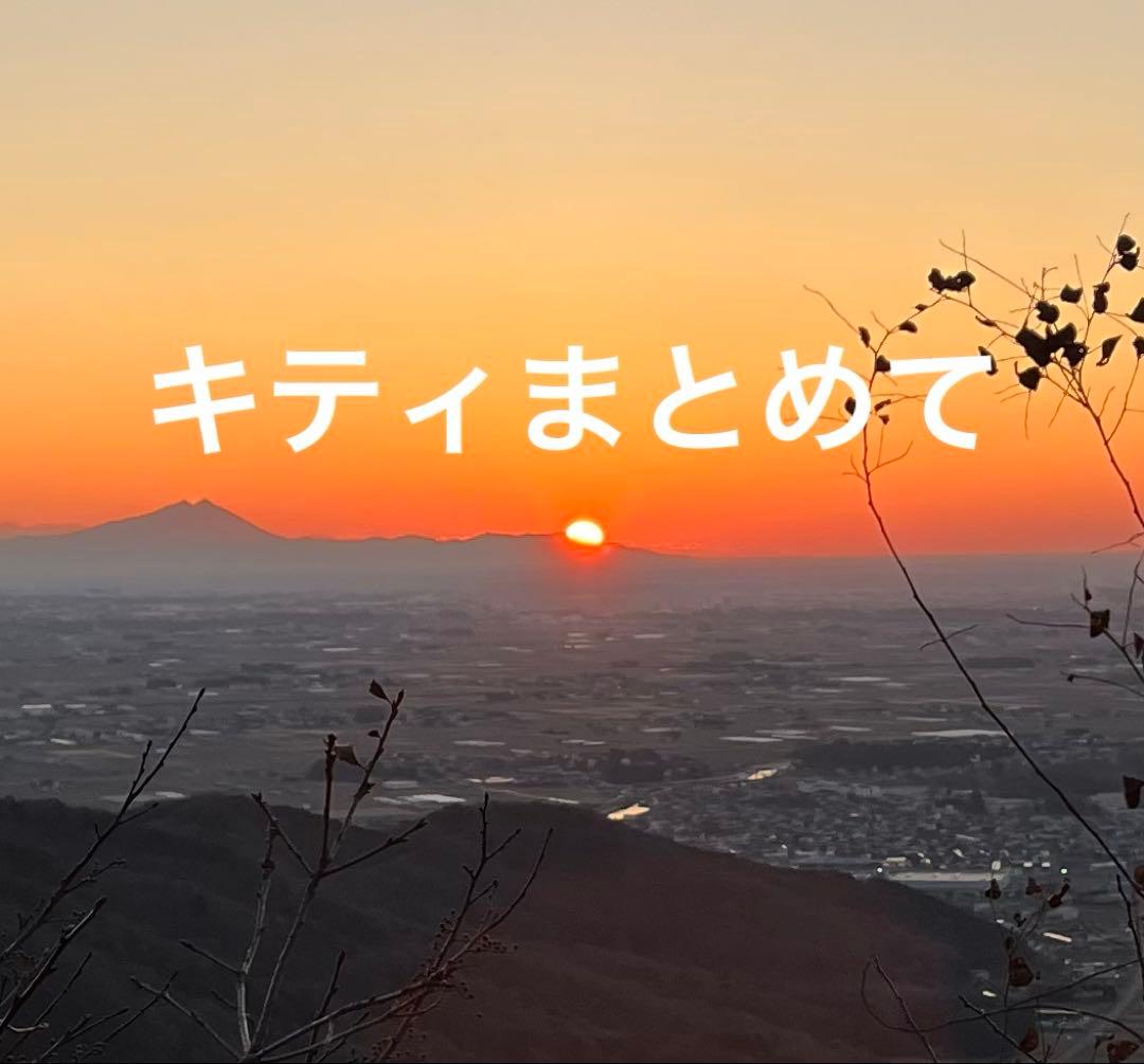 キティ　まとめて